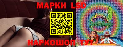 СК Волгодонск