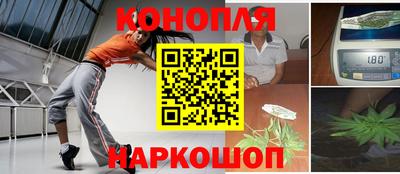 СК Волгодонск