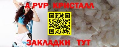 СК Волгодонск