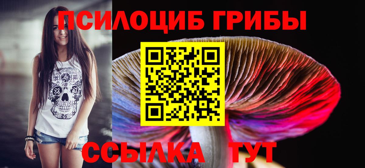 Берёзовский  Галлюциногенные грибы мицелий  Вход с VPN 